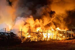 Tientallen auto's in brand in Rijsenhout naast Schiphol