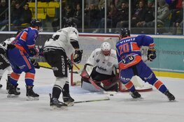 Tigers komen niet aan bod in Triavium