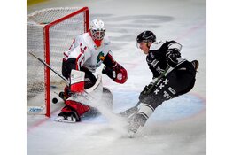 Tigers terug op de rit
