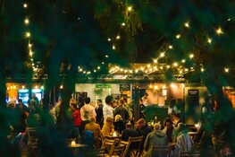 Amsterdamse gemeenteraad onderschrijft belang Amsterdamse Bostheater