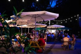 Amsterdamse gemeenteraad onderschrijft belang Amsterdamse Bostheater