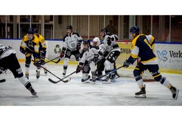 Tijdstraffen temperen Tigers