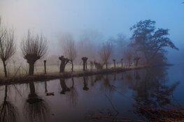 Straatfotograaf Michael van Oostende: ‘Ik hou van mistige ochtenden in Amsterdam’