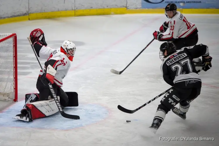 Tigers nemen lange aanloop naar ruime winst
