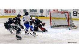 Capitals halen Tigers in na sterke Amsterdamse start