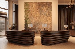 Groot hotel in Amsterdam onthult indrukwekkend wandkleed van kunstenares Simone Post