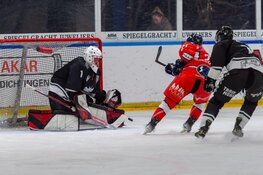 Tigers verweren zich kranig tegen koploper Nijmegen Devils