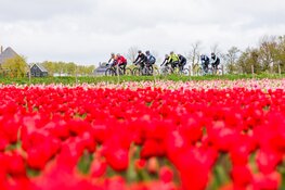 Bij de Ronde van Noord-Holland komt iedere fietser tot bloei