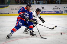 Tigers tot het laatst weerbaar