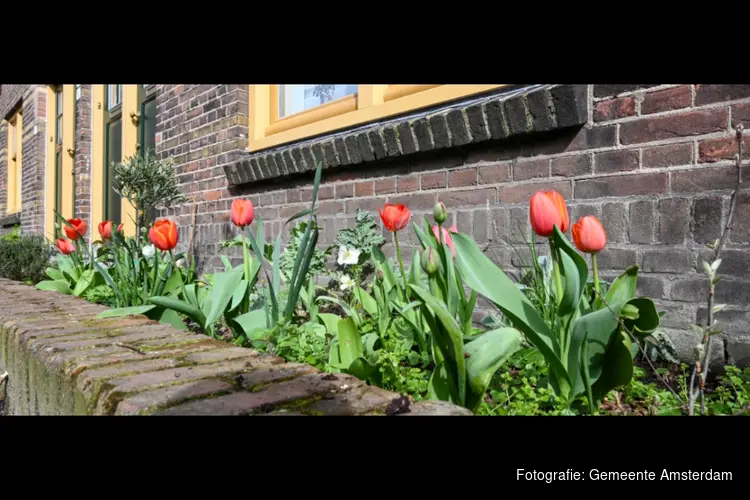 Bestel voordelig een plantenpakket bij uw gratis geveltuin