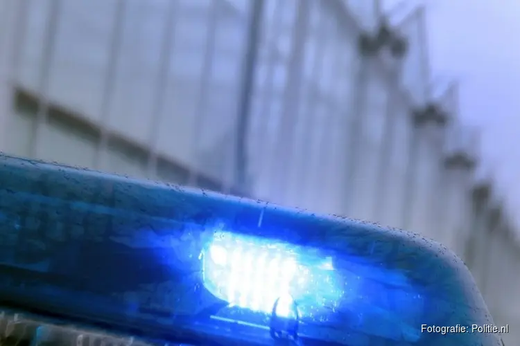 Update cold case Betty Szabó: tip niet te verifieren