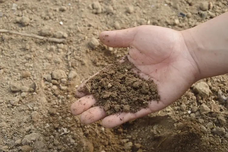 Haal gratis compost op voor uw tuin of balkon
