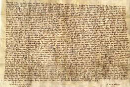 Stadsrechten van Weesp en middeleeuwse schatten: Unieke presentatie in de schatkamer van Museum Weesp