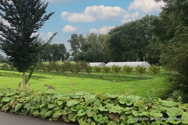 Nieuw voedselbos met groentetuin in Amsterdam Zuidoost