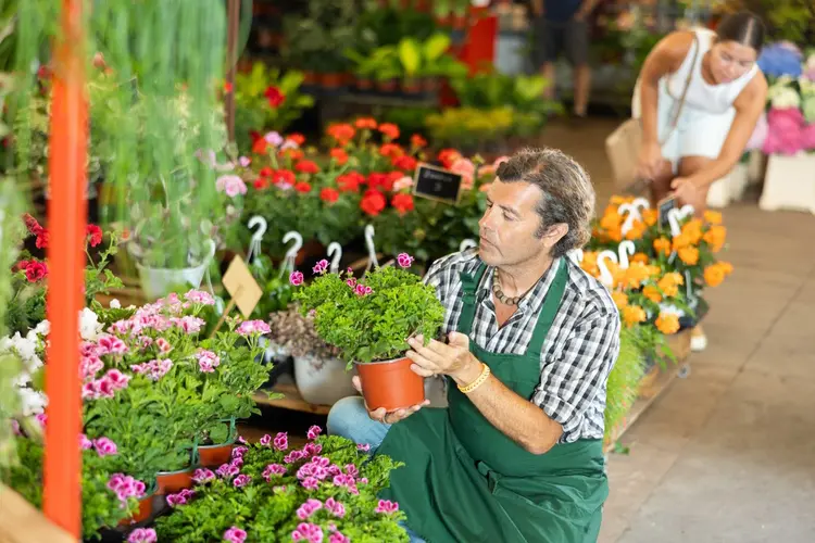 Waarom bloemen laten bezorgen in Amsterdam meer is dan gemak