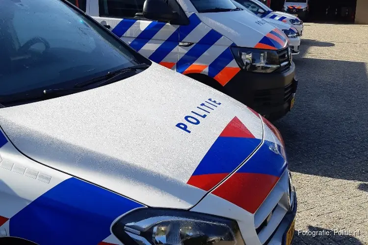 Pasgeboren mini-pony gestolen uit weiland