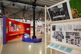 Past Disquiet belicht de geschiedenis van artistieke solidariteit in Nederland, en specifiek in Amsterdam, waar veel solidariteitsorganisaties gevestigd waren