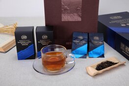 Amsterdamse woningen verduurzamen: uitdagingen en oplossingen