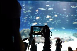 Wat doe jij met al die mooie foto’s in de cloud?