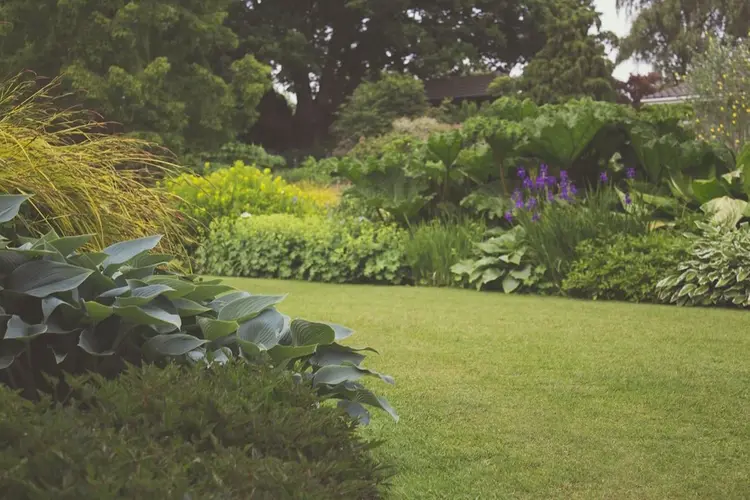 Maak je tuin dit weekend groener