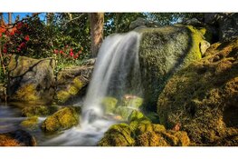 Smartphone fotografie in Noord-Holland