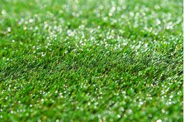 Amsterdam en Haarlem leggen innovatieve kunstgrasvelden aan tegen hittestress