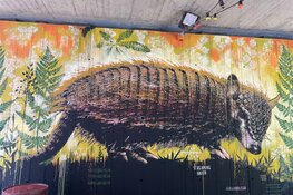 Spaklerweg leeft op: toegestane graffiti brengt kleur naar de straat