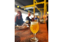 Walhalla Brouwerij keert terug in Amsterdam-Noord