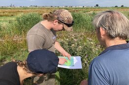Mooie start vrijwilligers grote waternavel polder IJdoorn