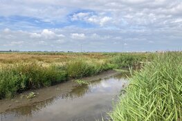 Mooie start vrijwilligers grote waternavel polder IJdoorn