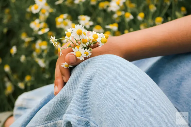 Ontspannende tuin creëren? Pas dan deze 3 tips toe!