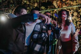 Hoe fotostrip designs je bruiloft extra persoonlijk maken