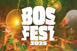 Perfect weer voor tweede editie Bosfest