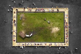 Levend schilderij met grazende koeien verschijnt in stadspark