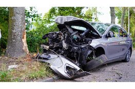 Auto knalt op boom in Noord, bestuurder zwaargewond