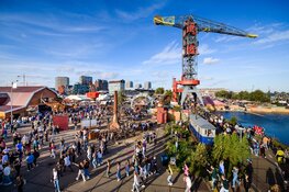 Into the Woods Ade Festival kondigt nieuw project aan: Bloom