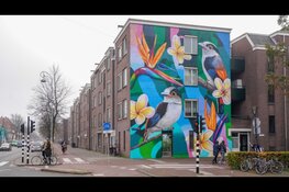 Nieuwe ronde Oost Begroot: Indische Buurt en Oostelijk Havengebied kunnen plannen indienen