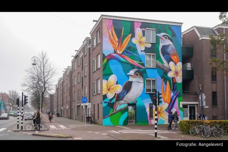 Nieuwe ronde Oost Begroot: Indische Buurt en Oostelijk Havengebied kunnen plannen indienen