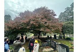 Rondleiding vol verhalen en verrassingen in het arboretum van De Nieuwe Ooster