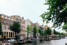 Bijzondere bomen geven Amsterdam kleur en karakter