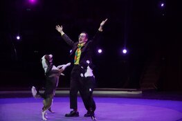 Beleef een Magical Christmas met Hans Klok bij Wintercircus Haarlem