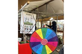 Gratis boom voor Amsterdammers: feestelijke ophaaldag op het Artisplein