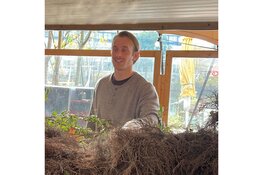 Gratis boom voor Amsterdammers: feestelijke ophaaldag op het Artisplein