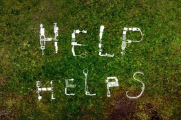 Afgedankt materiaal krijgt nieuwe glans tijdens opening kunstproject in het Bella Vistapark