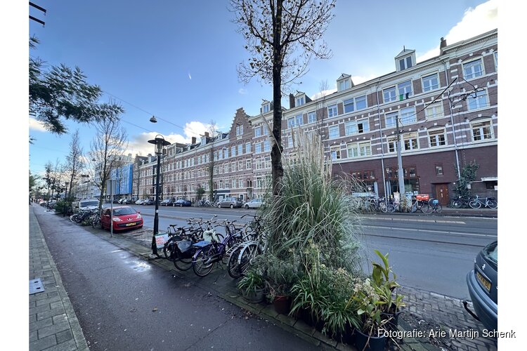 Bewoners Wijttenbachstraat in Amsterdam houden beroep tegen kap van zes iepen staande