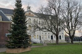 Kerstboom op het Marineterrein brengt licht en verbinding