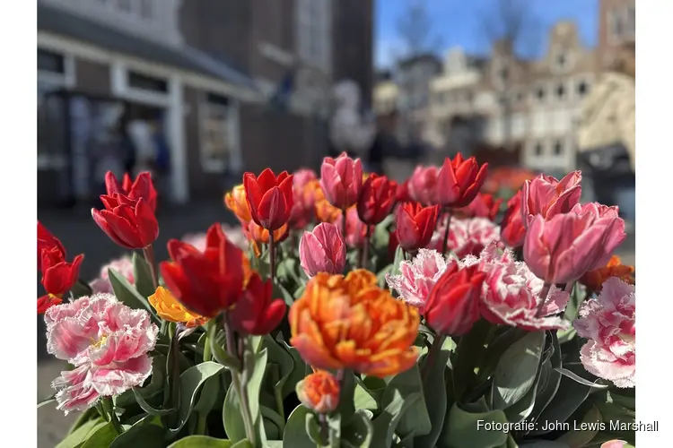 12e editie Tulp Festival geeft in april 2026 kleur aan Amsterdam