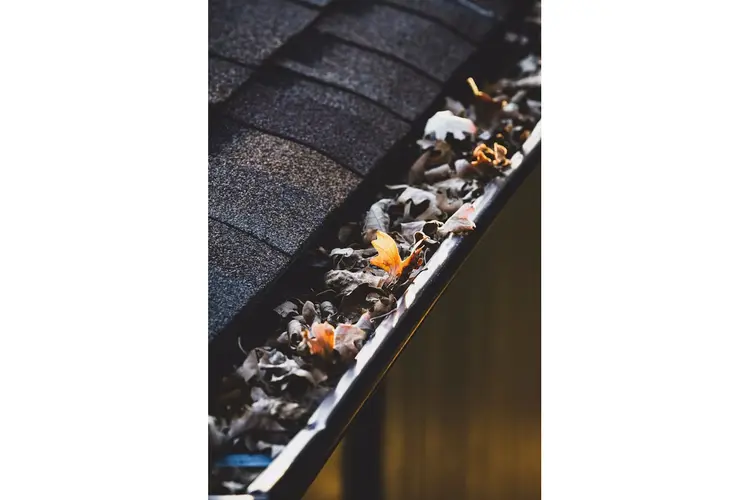 Last van lekkage in huis? Zo los je dat op!