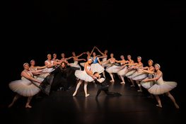Amsterdam Amateur Ballet opent eigen balletstudio, speciaal voor volwassenen
