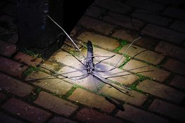 Gebied rond Tesselschadelaan in Muiderberg tijdelijk afgezet na vondst verdacht object